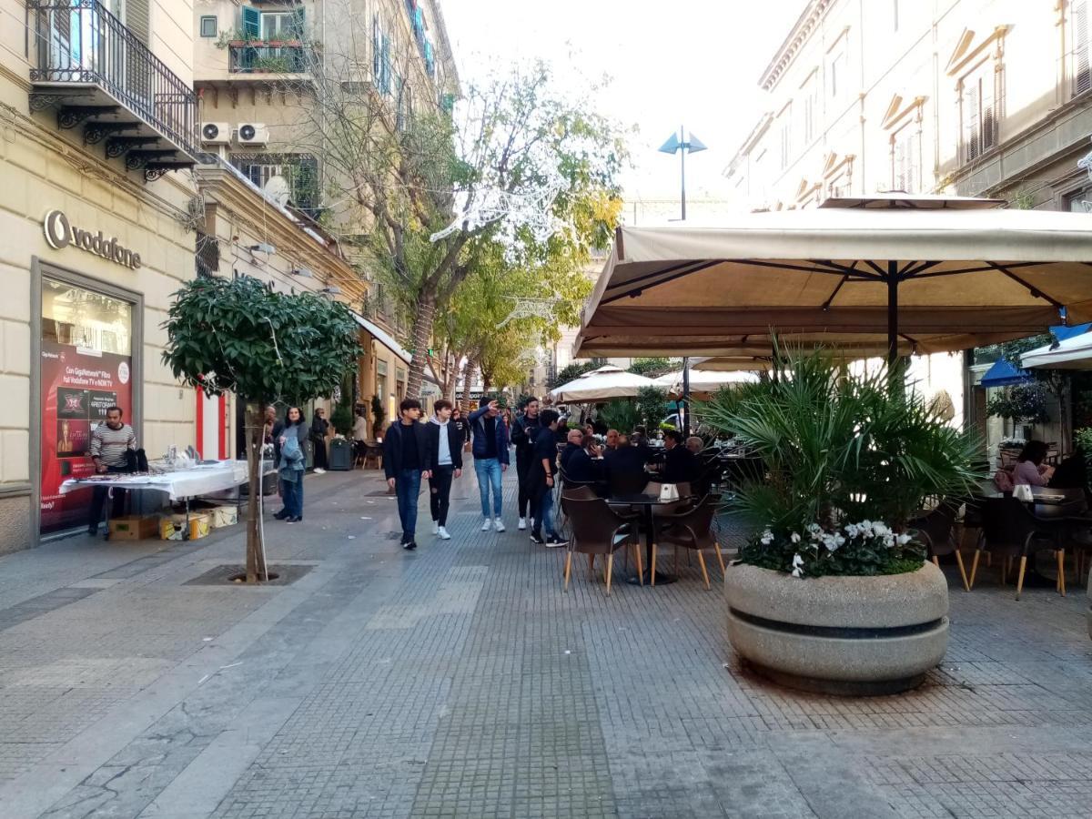 Ariston Petit Palermo